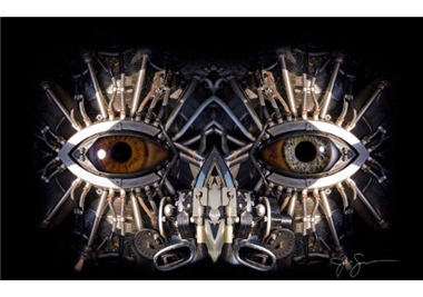 旋转接头的装置