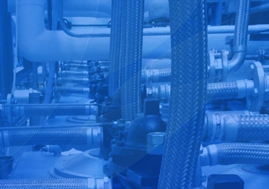 ��չ��Ԥ����2022����Ρ�����(�й���)�ٷ���վ����չ����Ϣ