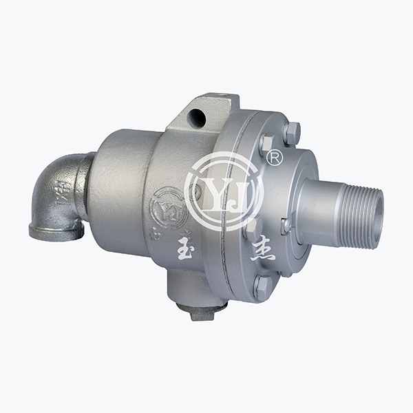 big202110191756229953